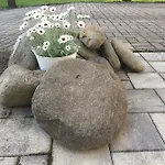 Studiový V Zahradě Apartamento